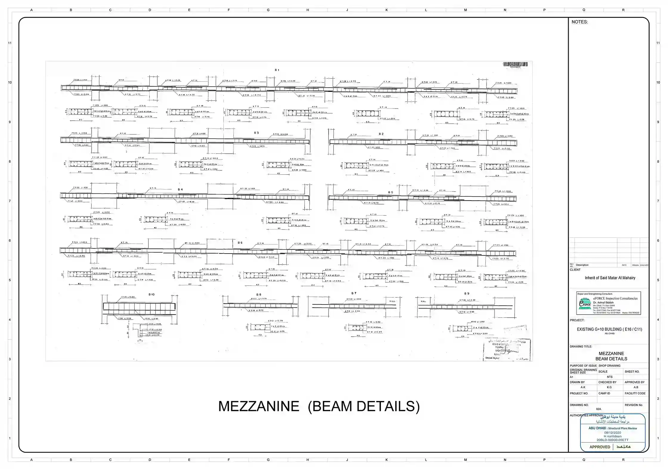 Architect plan villa