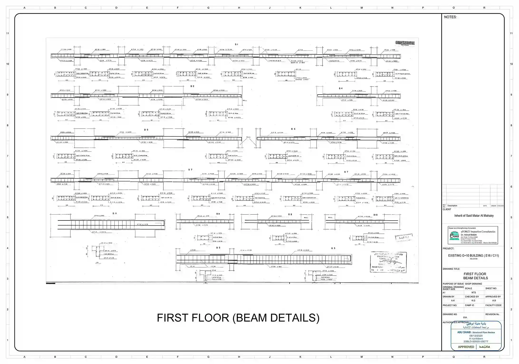 Architect plan villa