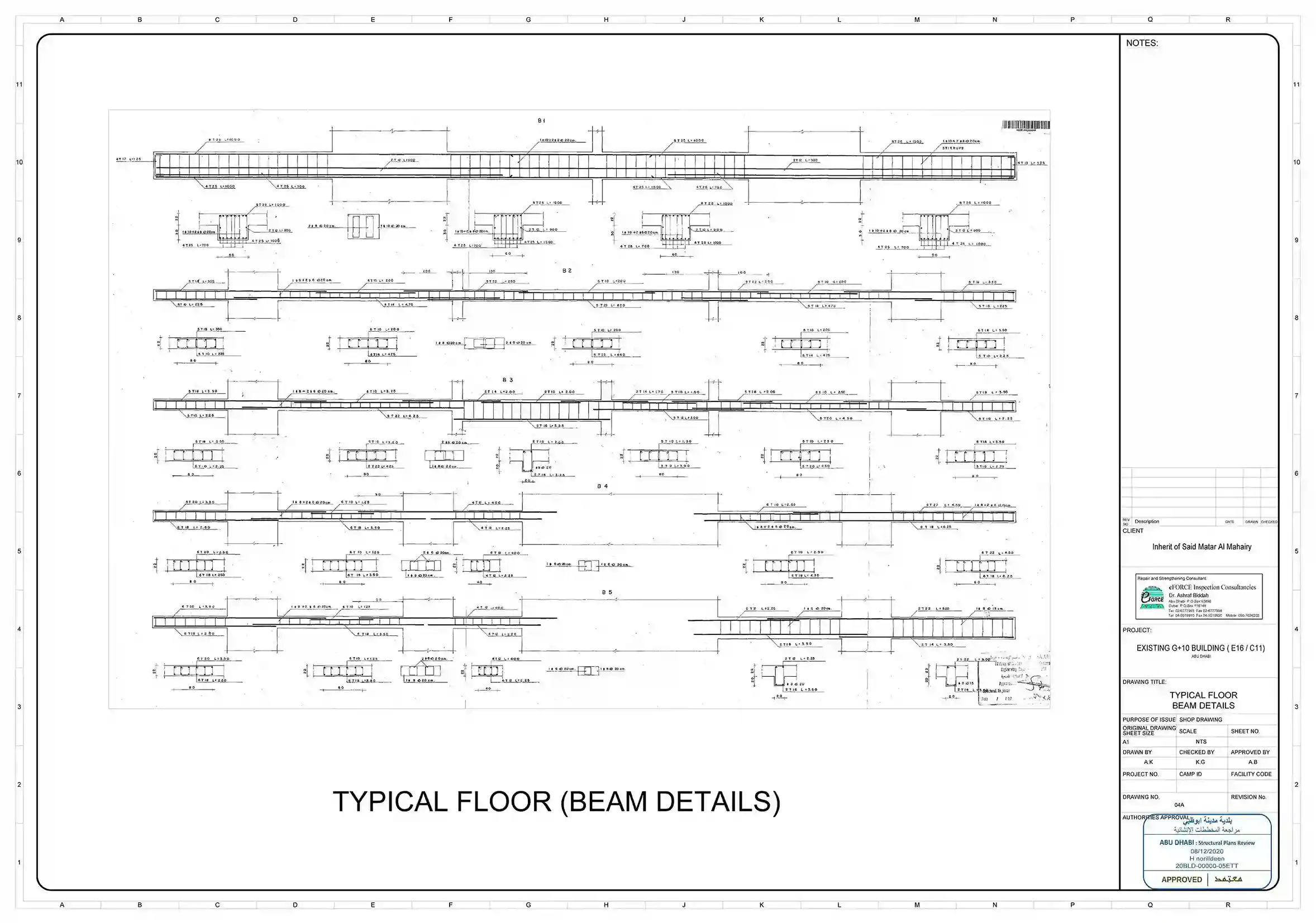 Architect plan villa