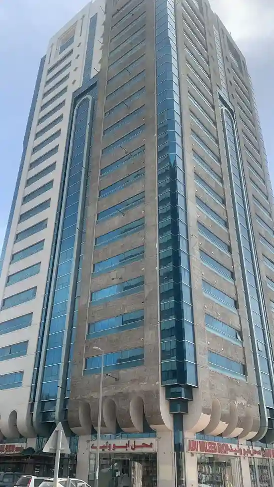 Image of project 4 - Villa construction project in Abu Dhabi