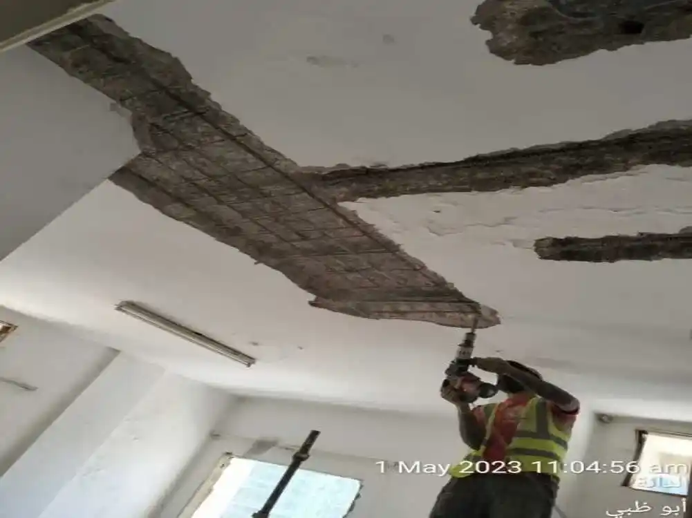 Image of project 9 - Villa construction project in Abu Dhabi