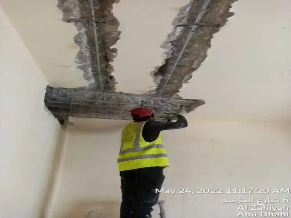 Image of project 13 - Villa construction project in Abu Dhabi